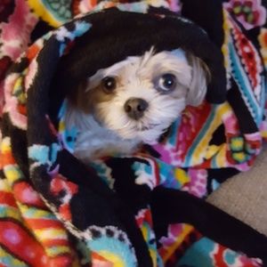 Meet your Posher, Margaret